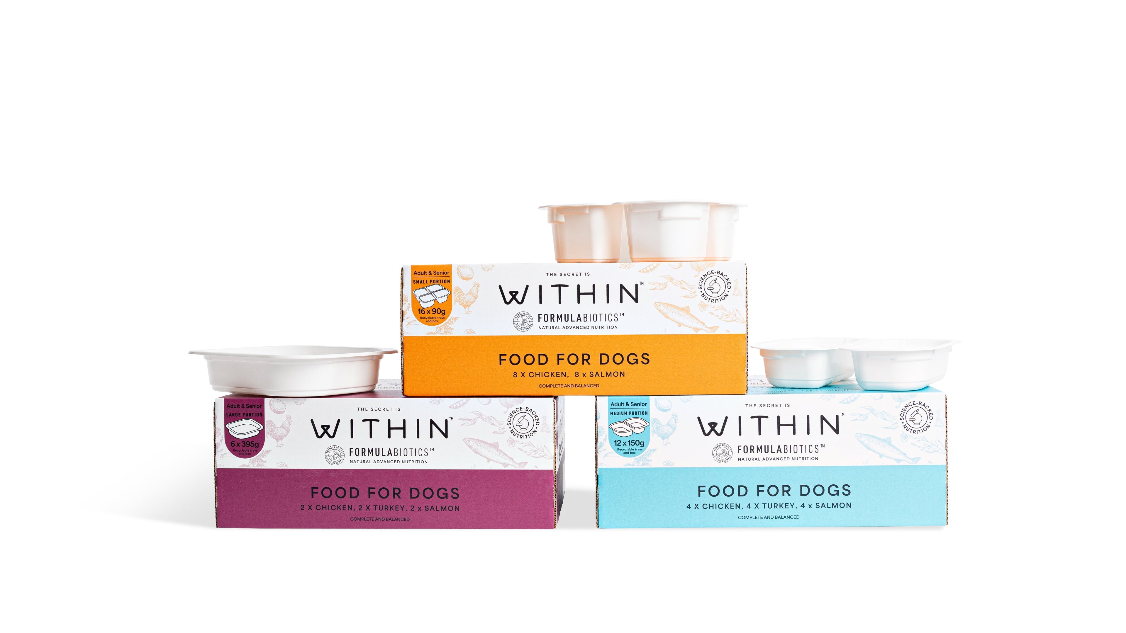 What Does 'Complete and Balanced' Dog Food Actually Mean?