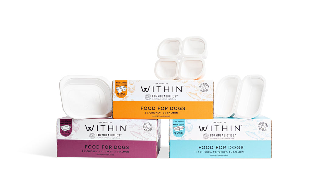 Within Wet Food Tray Sizes: Which One Is Right for Your Dog?