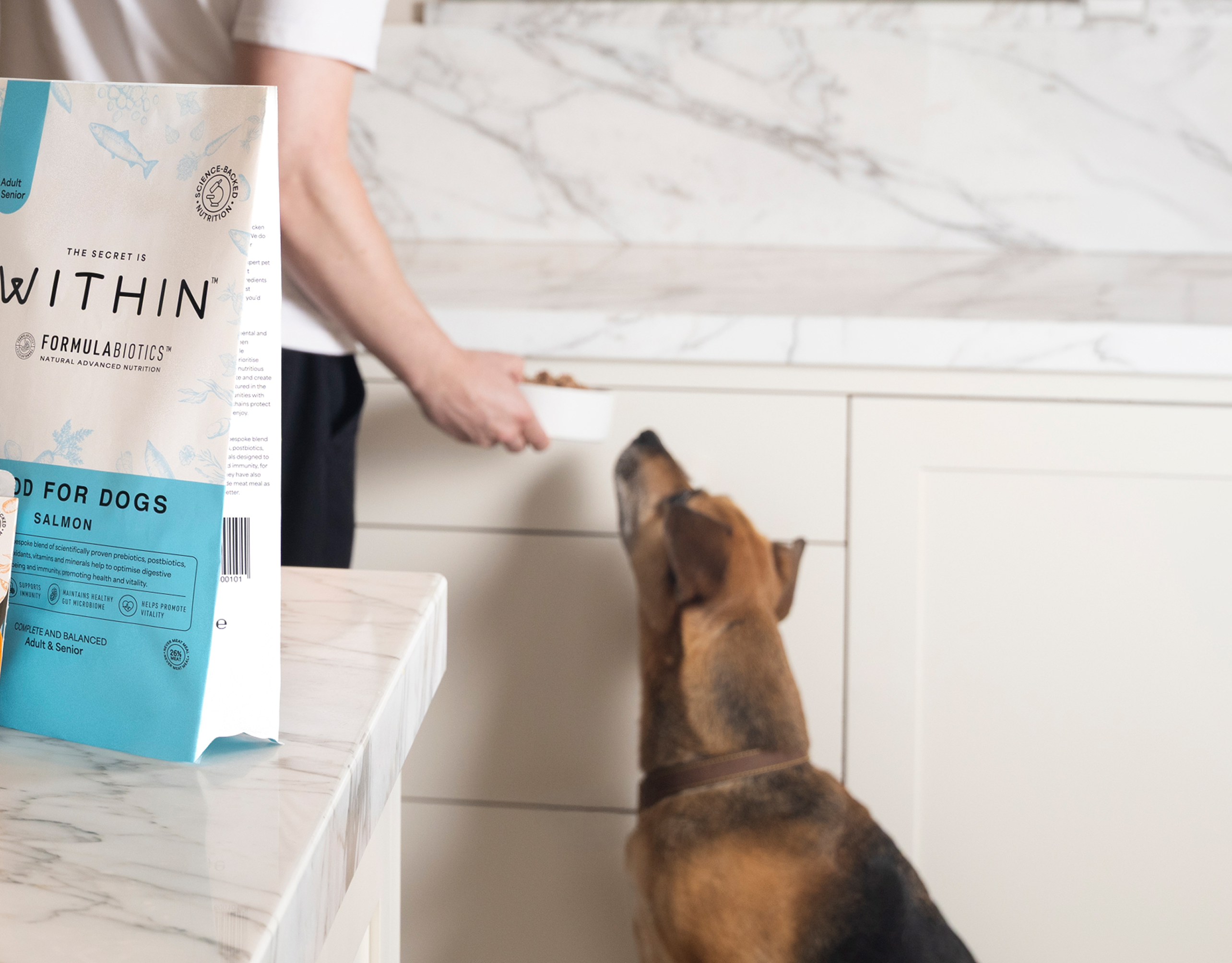 Dog waiting to be served WITHIN Salmon Adult & Senior dog food in a modern kitchen lifestyle image.