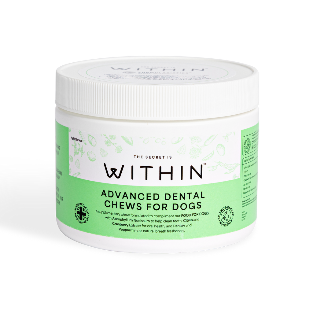 Advanced Dental Chews For Dogs | 120