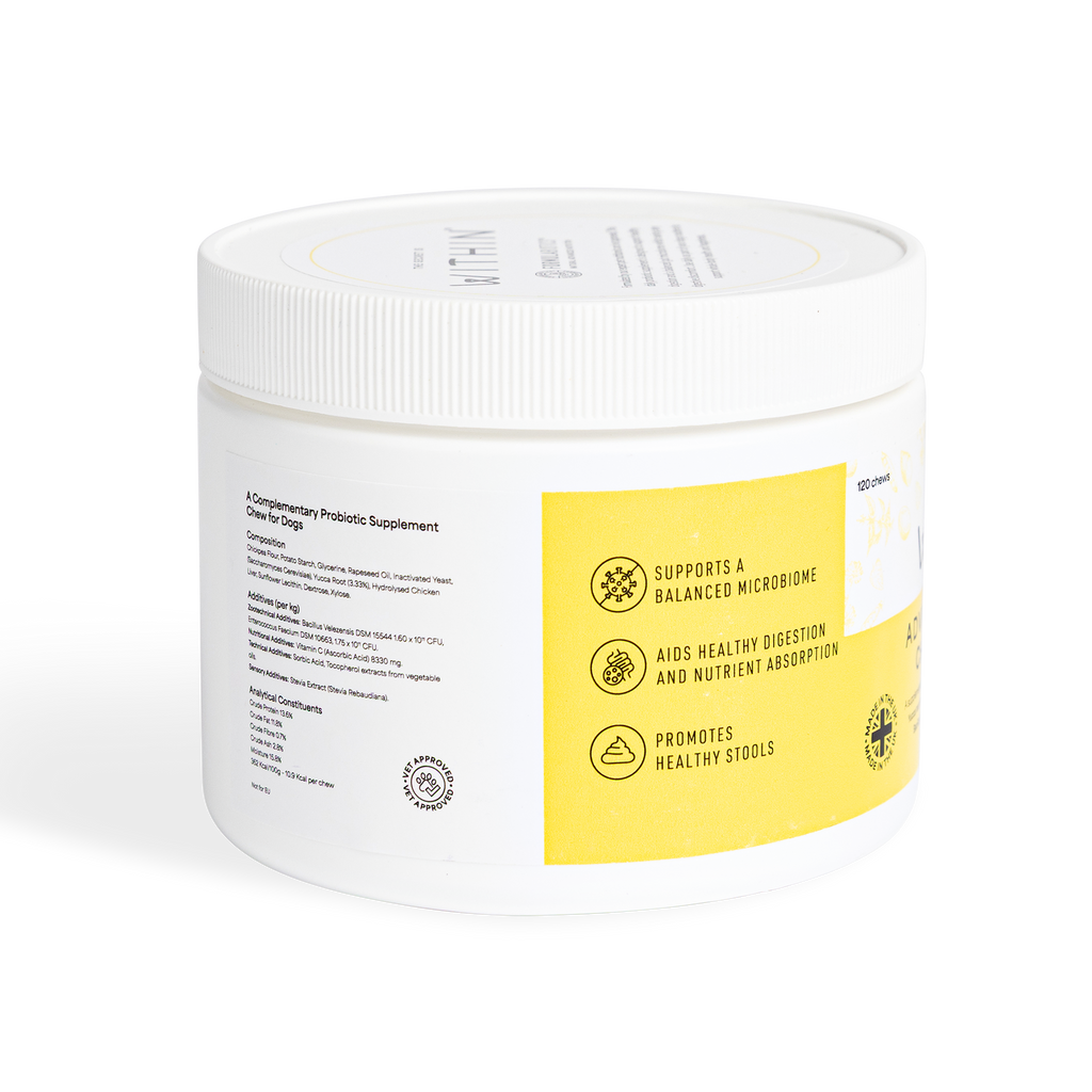 Advanced Probiotic Chews For Dogs | 120