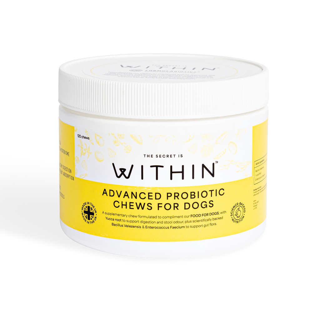 Advanced Probiotic Chews For Dogs | 120