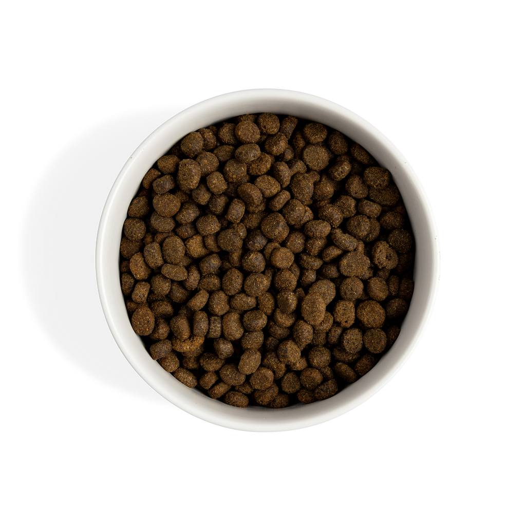 Complete & Balanced Salmon Dry Food | 2kg