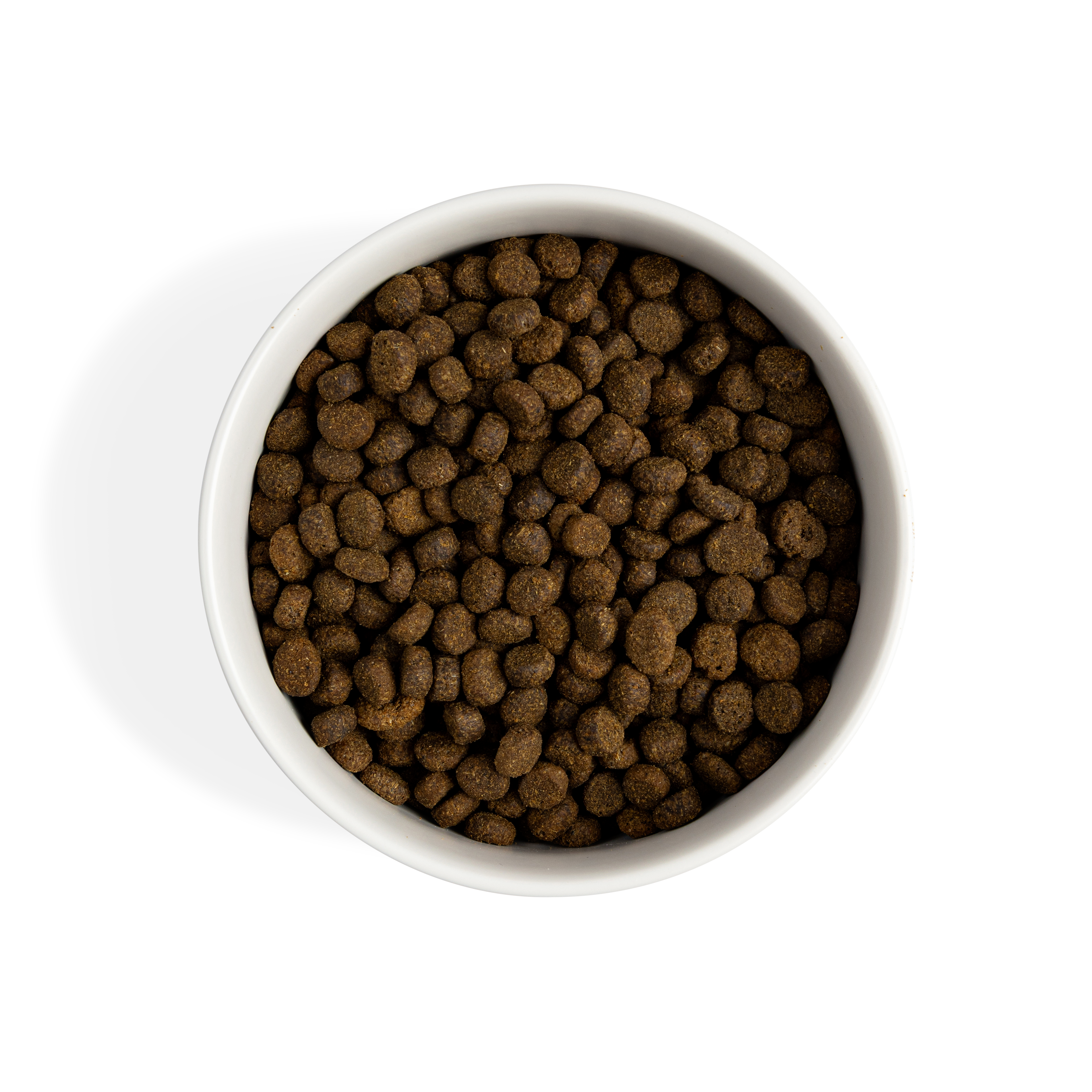 Complete & Balanced Salmon Dry Food | 2kg