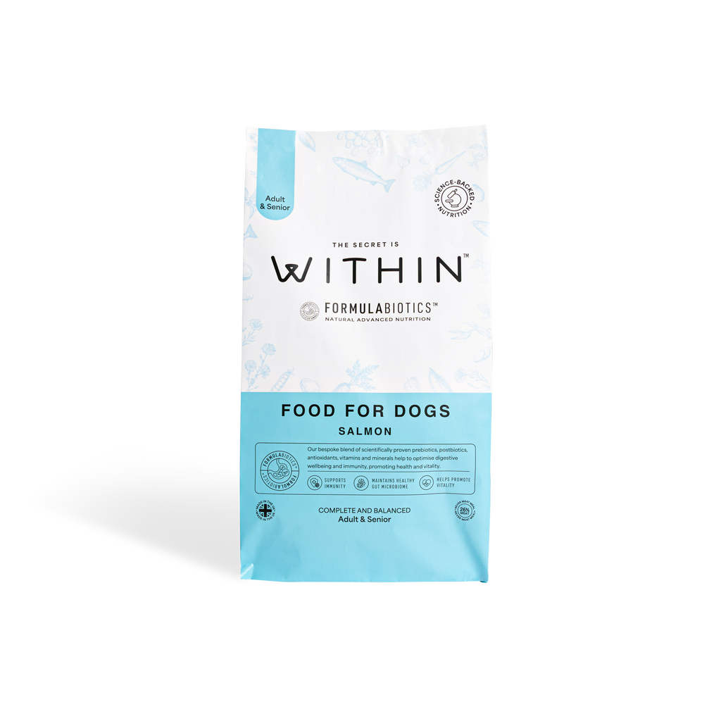 Complete & Balanced Salmon Dry Food | 2kg