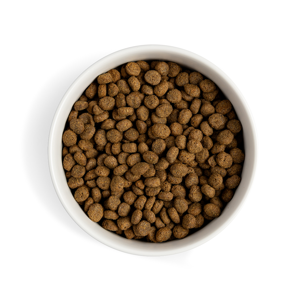 Complete & Balanced Chicken Dry Food | 10kg
