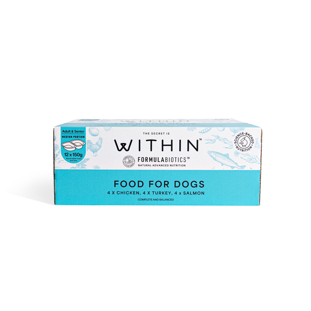Grain Free Chicken, Turkey & Salmon Variety Wet Food | 12 x 150g