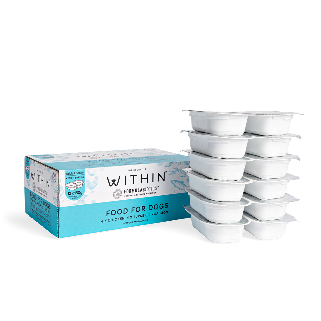 Grain Free Chicken, Turkey & Salmon Variety Wet Food | 12 x 150g