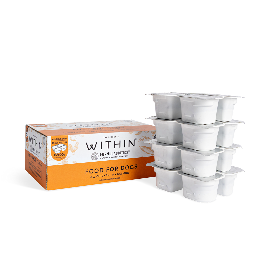 Grain Free Chicken & Salmon Variety Wet Food | 16 x 90g