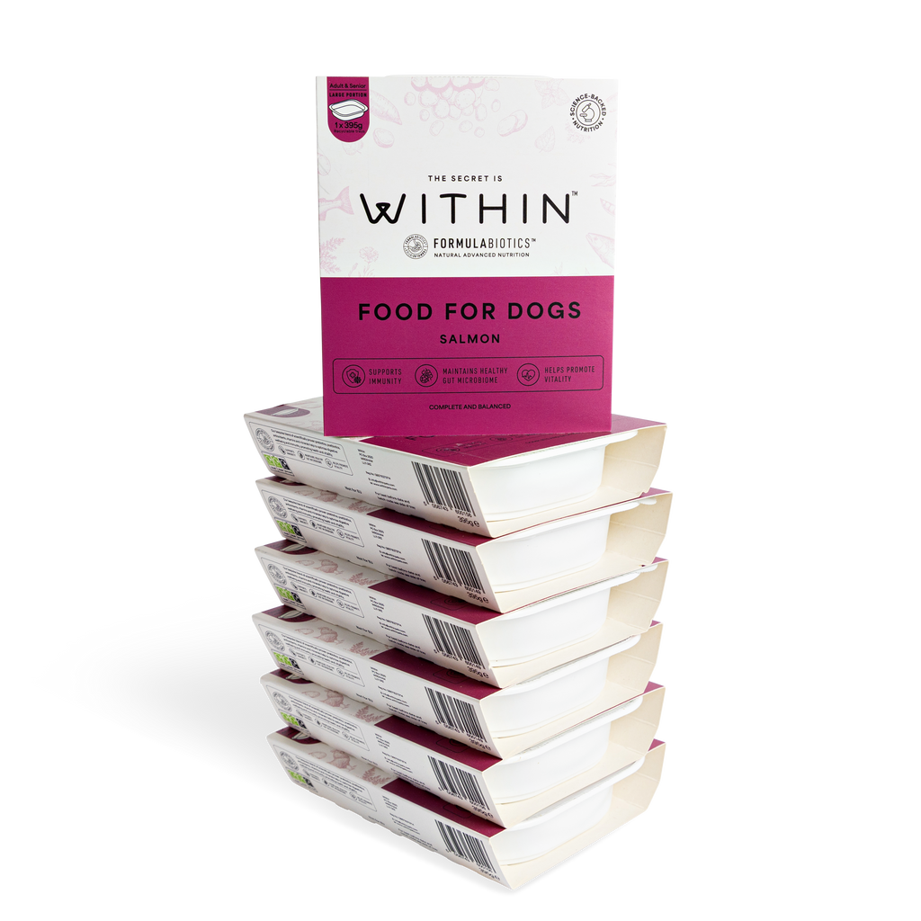 Grain Free Salmon Wet Food | 7 x 395g