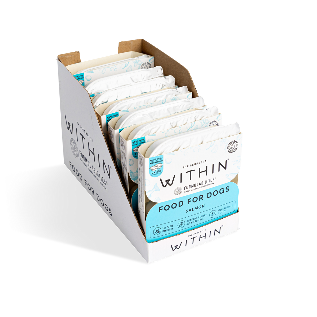 Grain Free Salmon Wet Food | 14x 150g