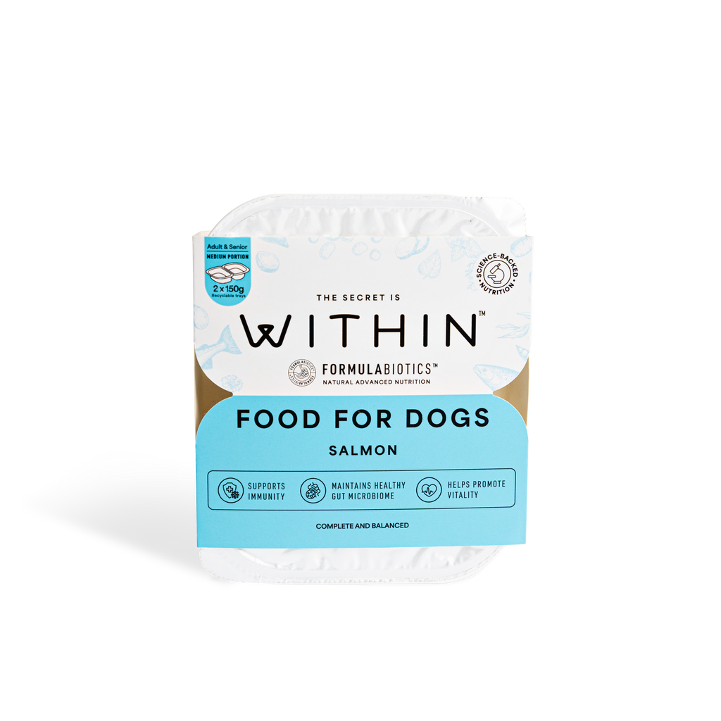 Grain Free Salmon Wet Food | 14x 150g