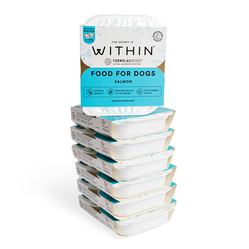 Grain Free Salmon Wet Food | 14x 150g