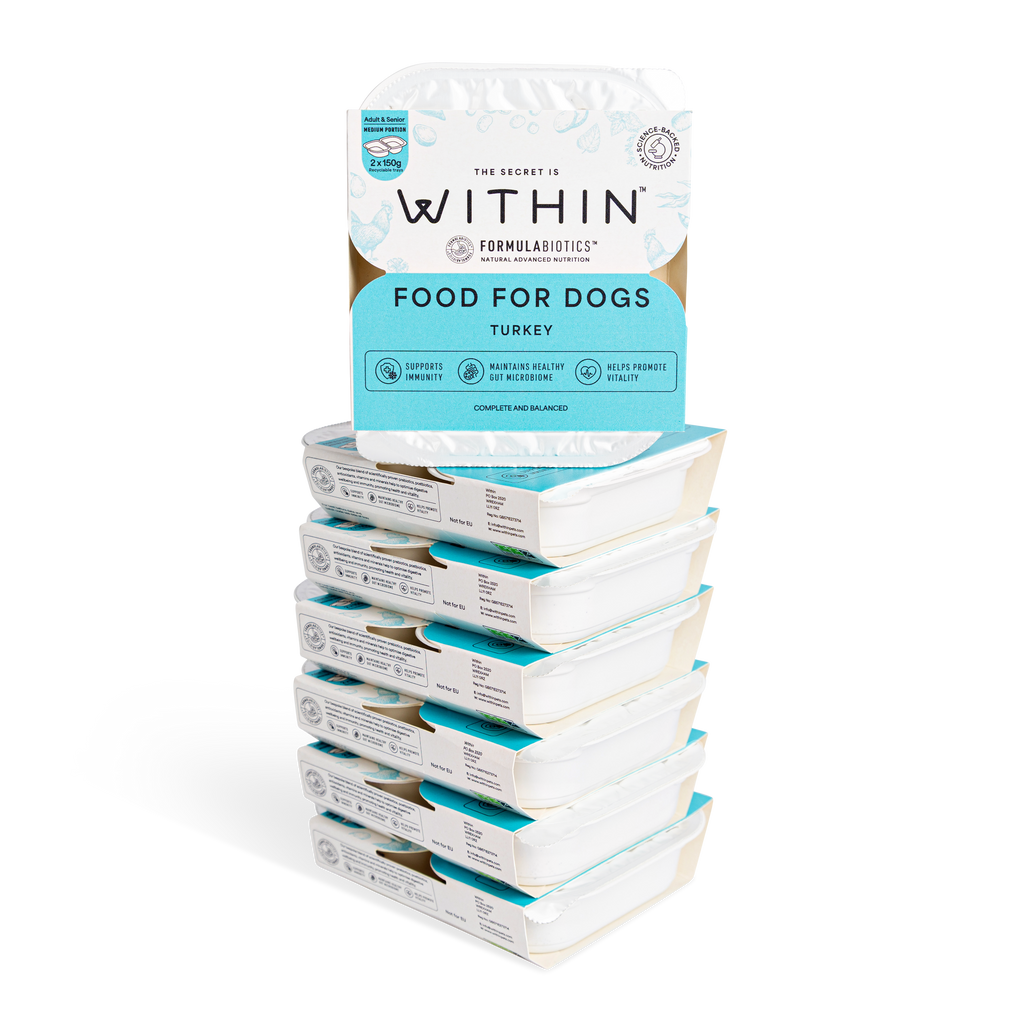 Grain Free Turkey Wet Food | 14 x 150g