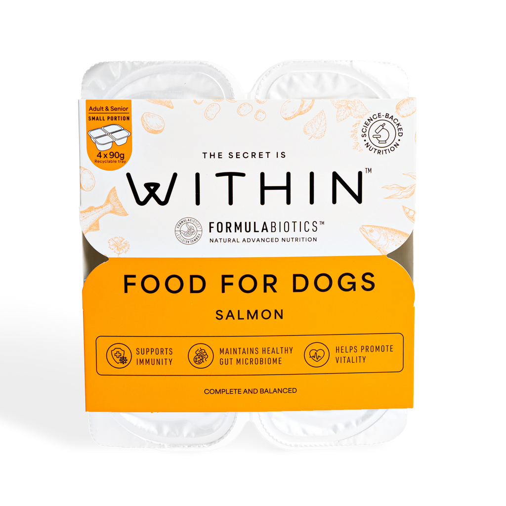 Grain Free Salmon Recipe | 20 x 90g