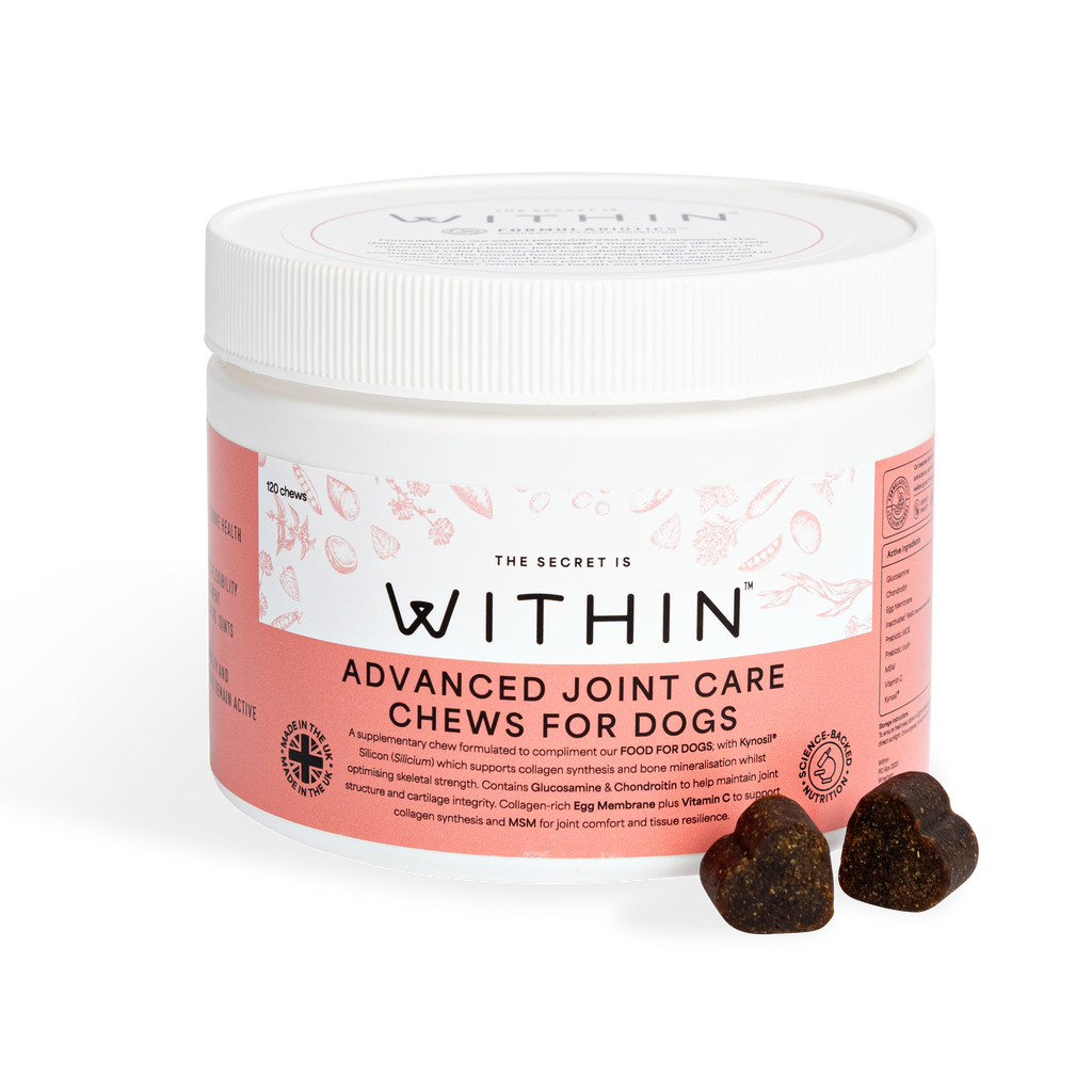 Advanced Joint Care Chews For Dogs | 120