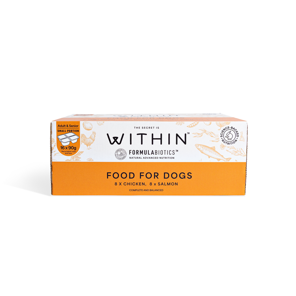 Grain Free Chicken & Salmon Variety Wet Food | 16 x 90g