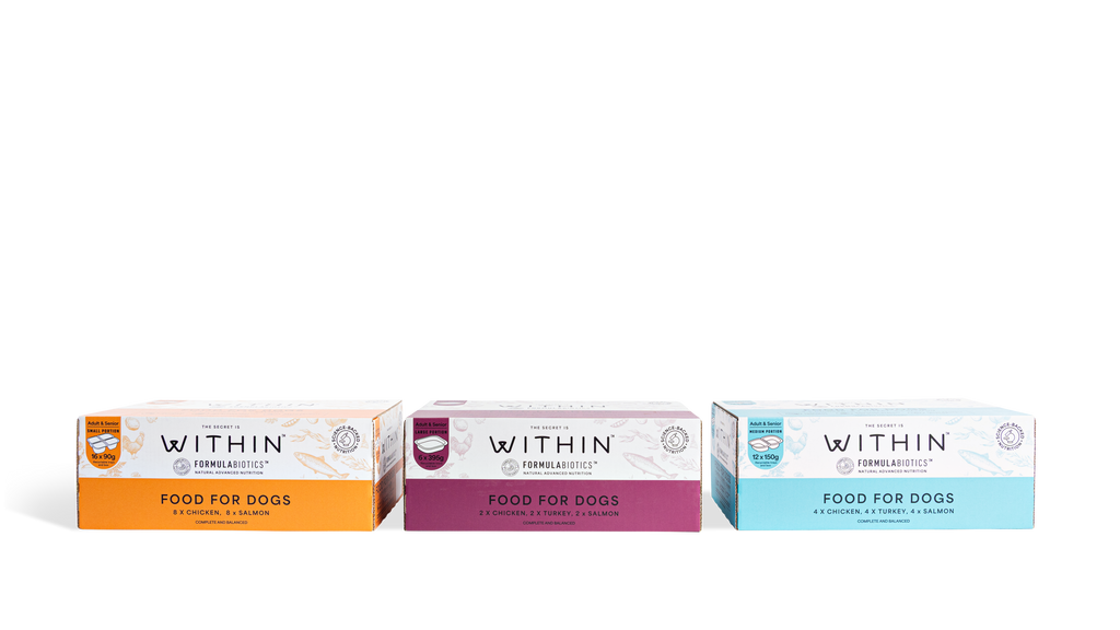 Grain Free Chicken & Salmon Variety Wet Food | 16 x 90g