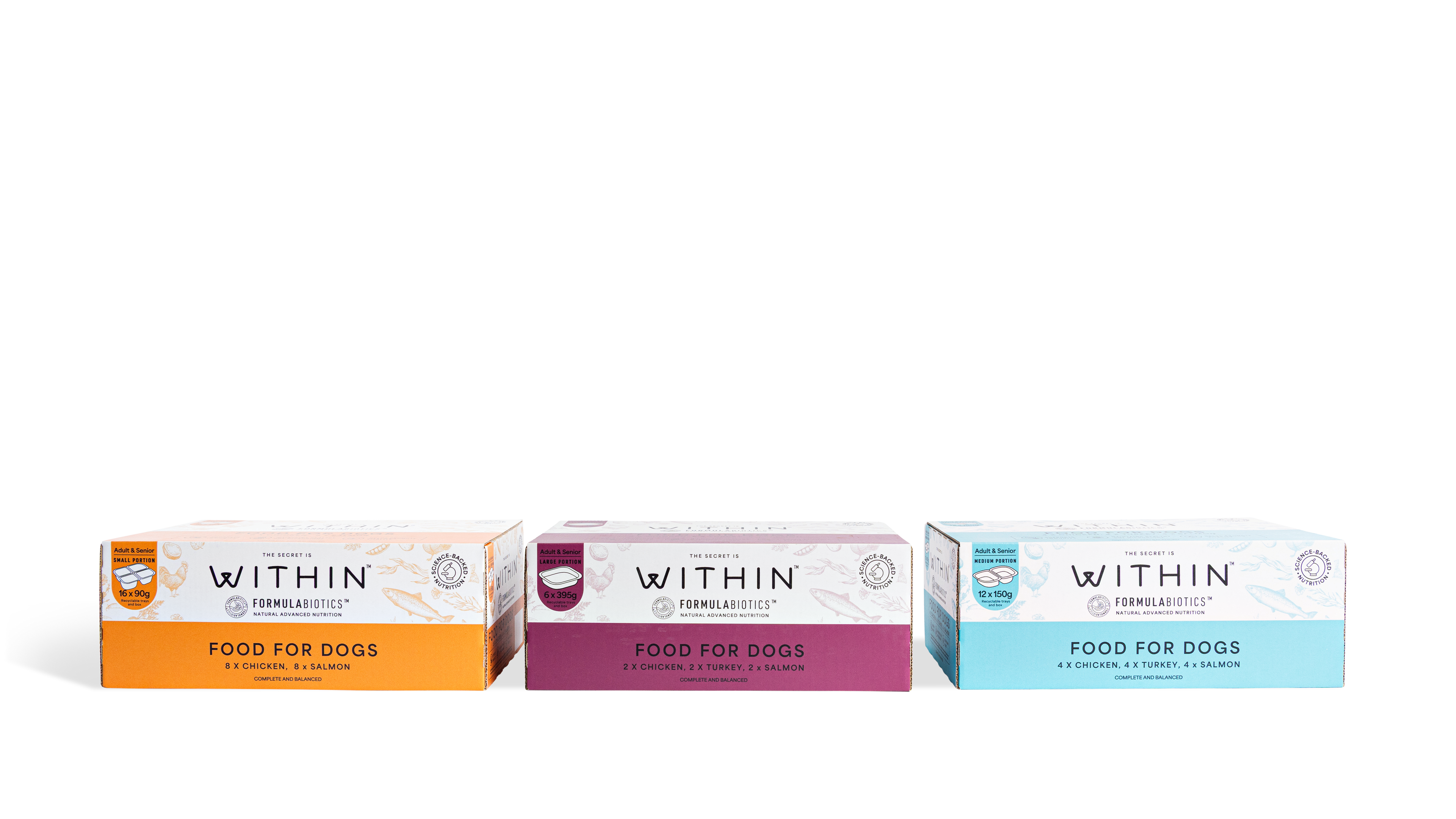 Grain Free Chicken & Salmon Variety Wet Food | 16 x 90g