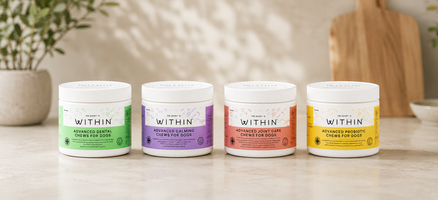 Studio shot of the WITHIN supplements range featuring Advanced Dental Chews, Advanced Calming Chews, Advanced Joint Care Chews and Advanced Probiotic Chews for dogs.