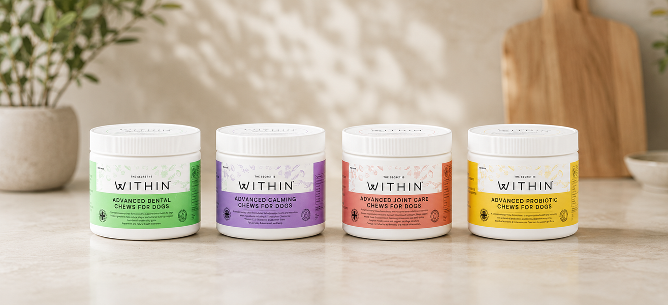 Studio shot of the WITHIN supplements range featuring Advanced Dental Chews, Advanced Calming Chews, Advanced Joint Care Chews and Advanced Probiotic Chews for dogs.